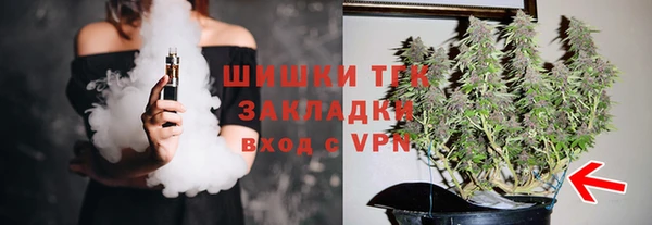 твердый Дмитров