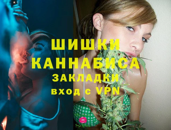 твердый Дмитров