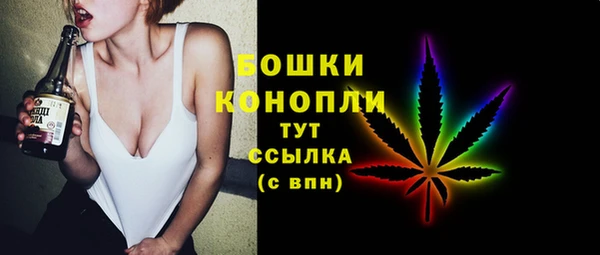 мет Дмитриев