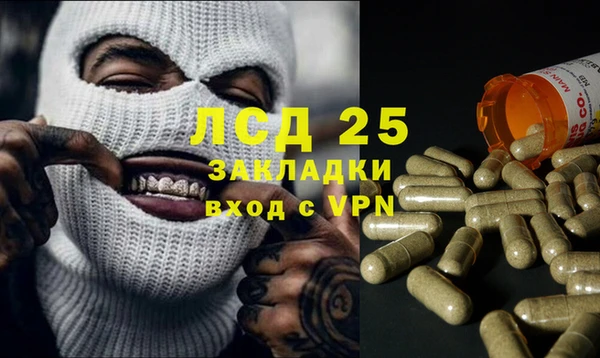 PSILOCYBIN Дмитровск