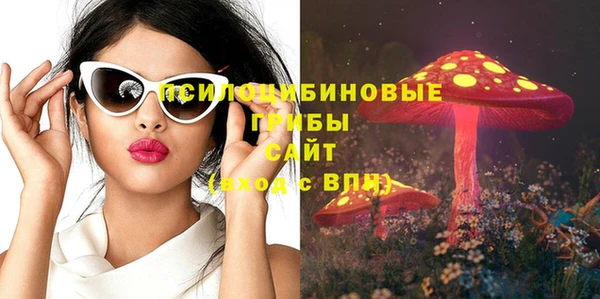 мет Дмитриев