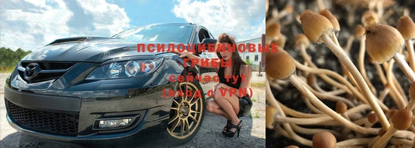 твердый Дмитров