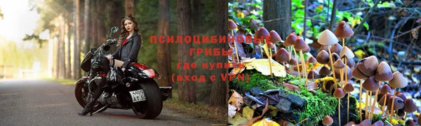 твердый Дмитров