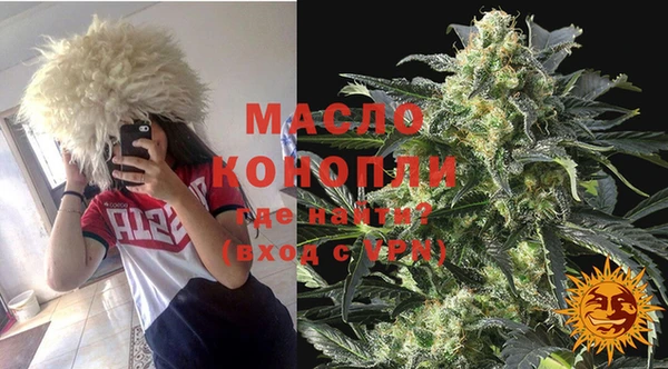 твердый Дмитров