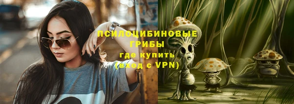 мет Дмитриев