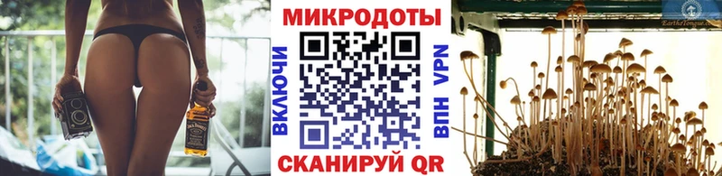 где можно купить   Октябрьский  Галлюциногенные грибы Cubensis 